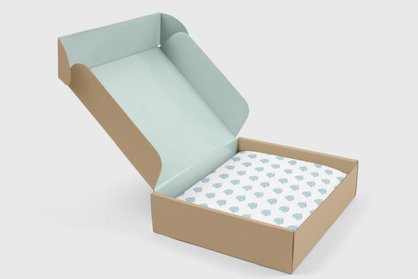 Caja_2